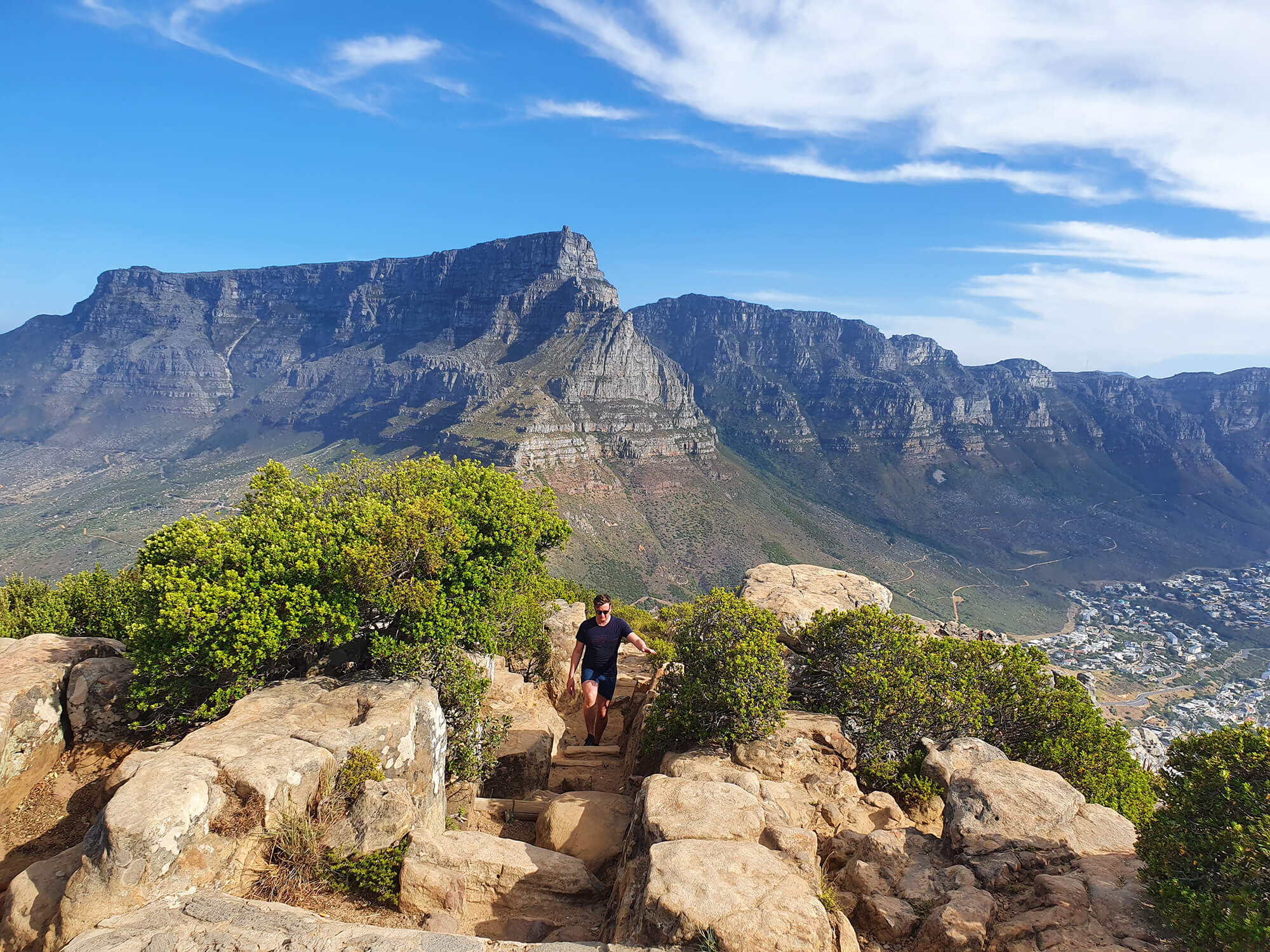 Lion's Head