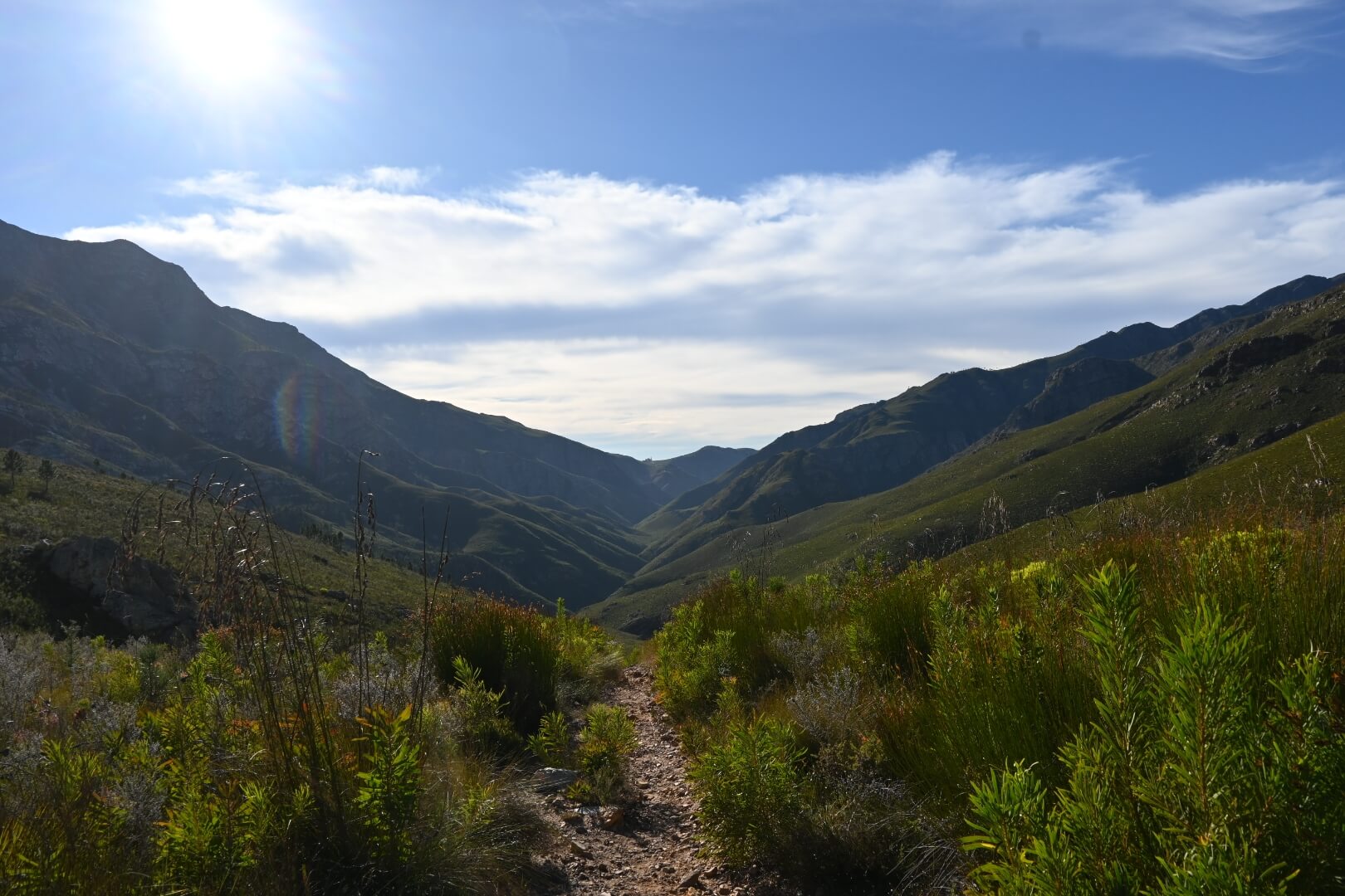 Greyton to McGregor overnight